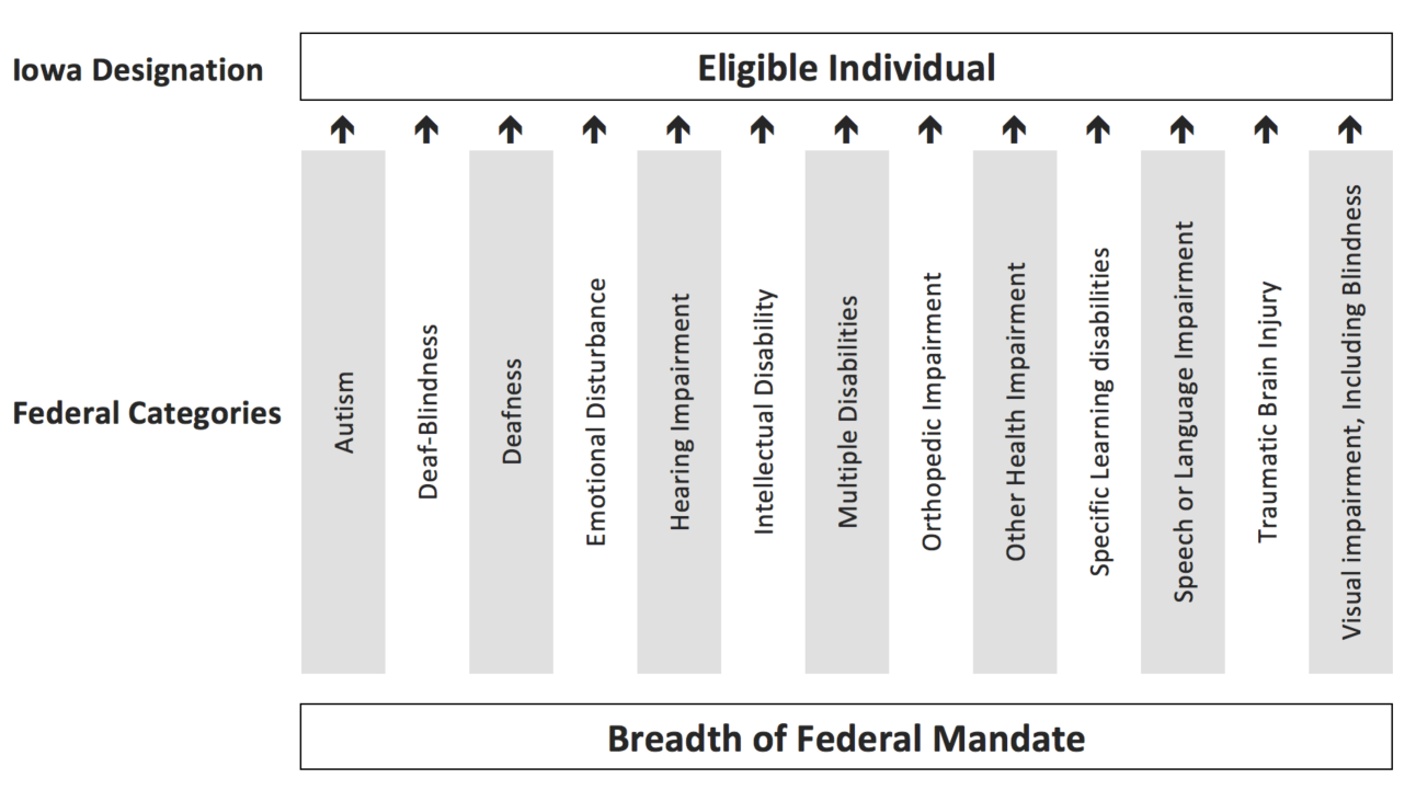 A list of federal categories that Iowa uses to determine if an individual is eligible for specially designed education. These categories include autism, deaf-blindness, deafness, emotional disturbance, hearing impairment, intellectual disability, multiple disabilties, orthopedic impairment, other health impairment, specific learning disabilities, speech or language impairment, traumatic brain injury, or visual impairment, including blindness.